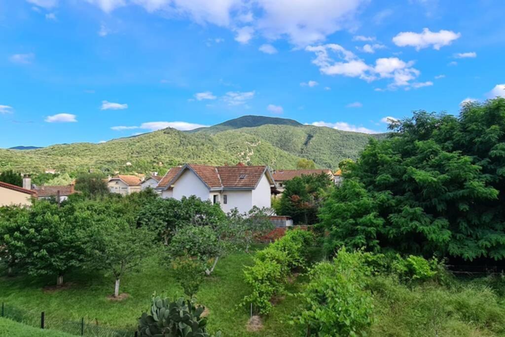 Amélie-les-Bains-Palalda Résidence Las Hortes Exterior foto